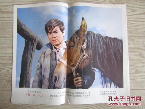 四川省第一本不动产证书在哪儿发出